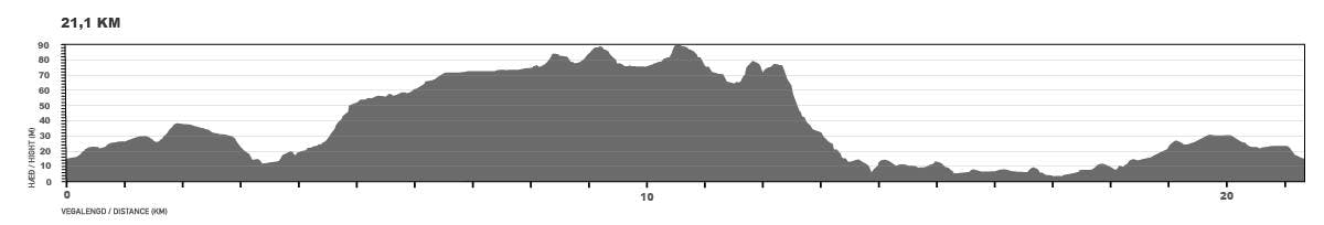 Elevation map for the 21.1 km race.